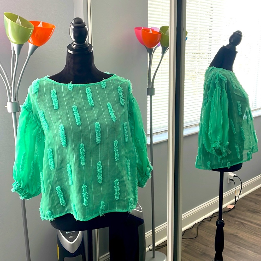 Green Sheer Zara Top